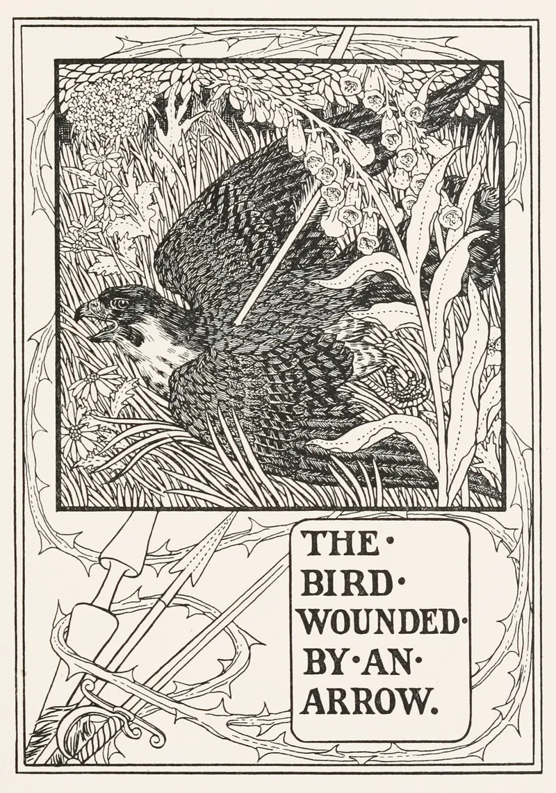 The Bird Wounded By An Arrow Wall Art by Percy J. Billinghurst - High-Resolution Digital Print