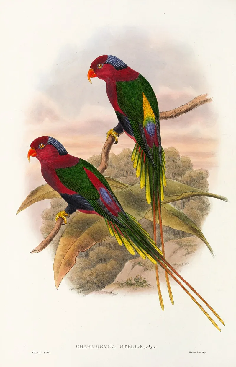 The Birds Of New Guinea And The Adjacent Papuan Islands Pl 15 Wall Art by John Gould - High-Resolution Digital Print