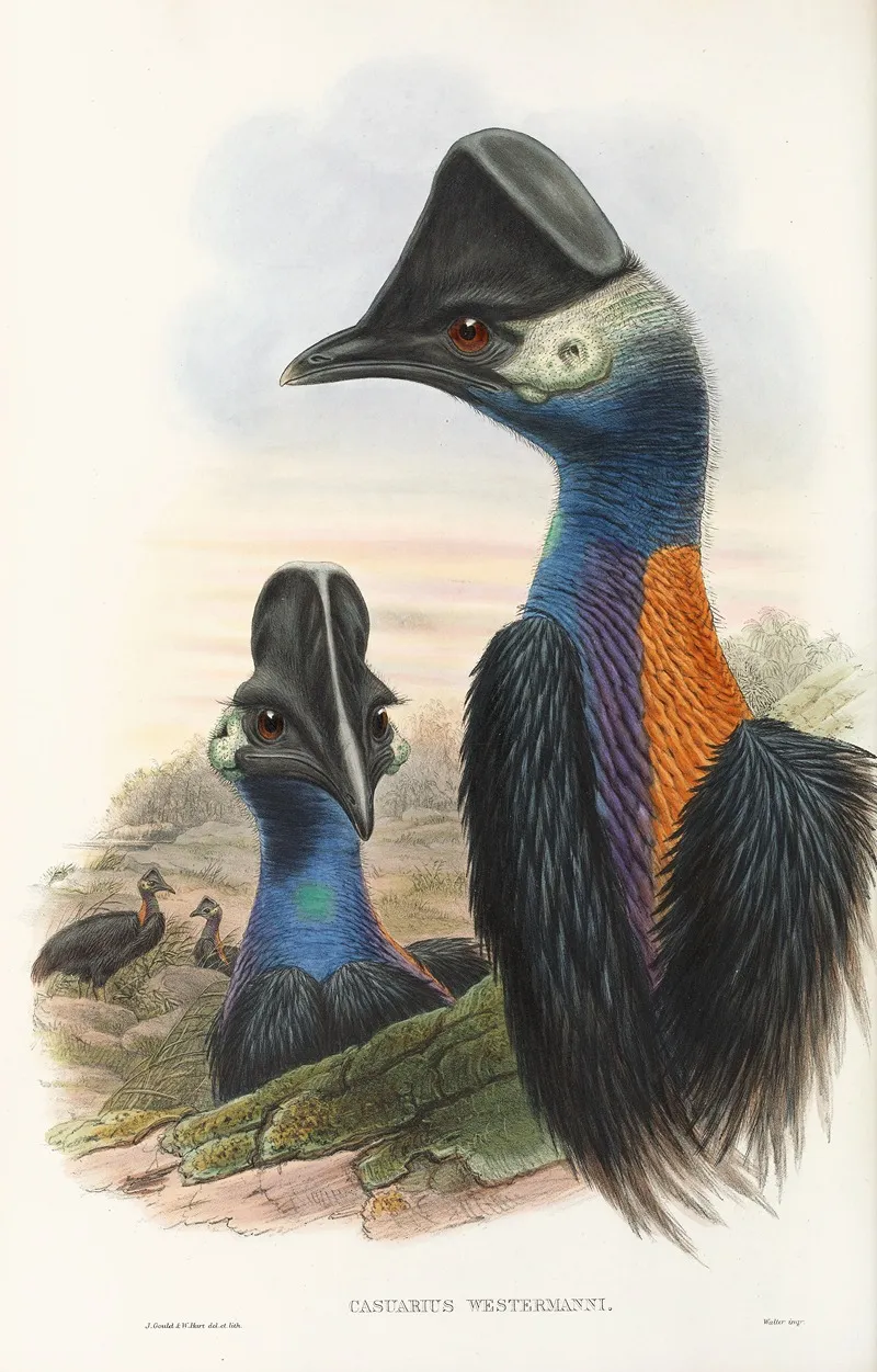 The Birds Of New Guinea And The Adjacent Papuan Islands Pl 75 Wall Art by John Gould - High-Resolution Digital Print