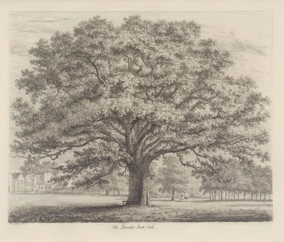 The Bounds Park Oak Wall Art by Jacob George Strutt - High-Resolution Digital Print