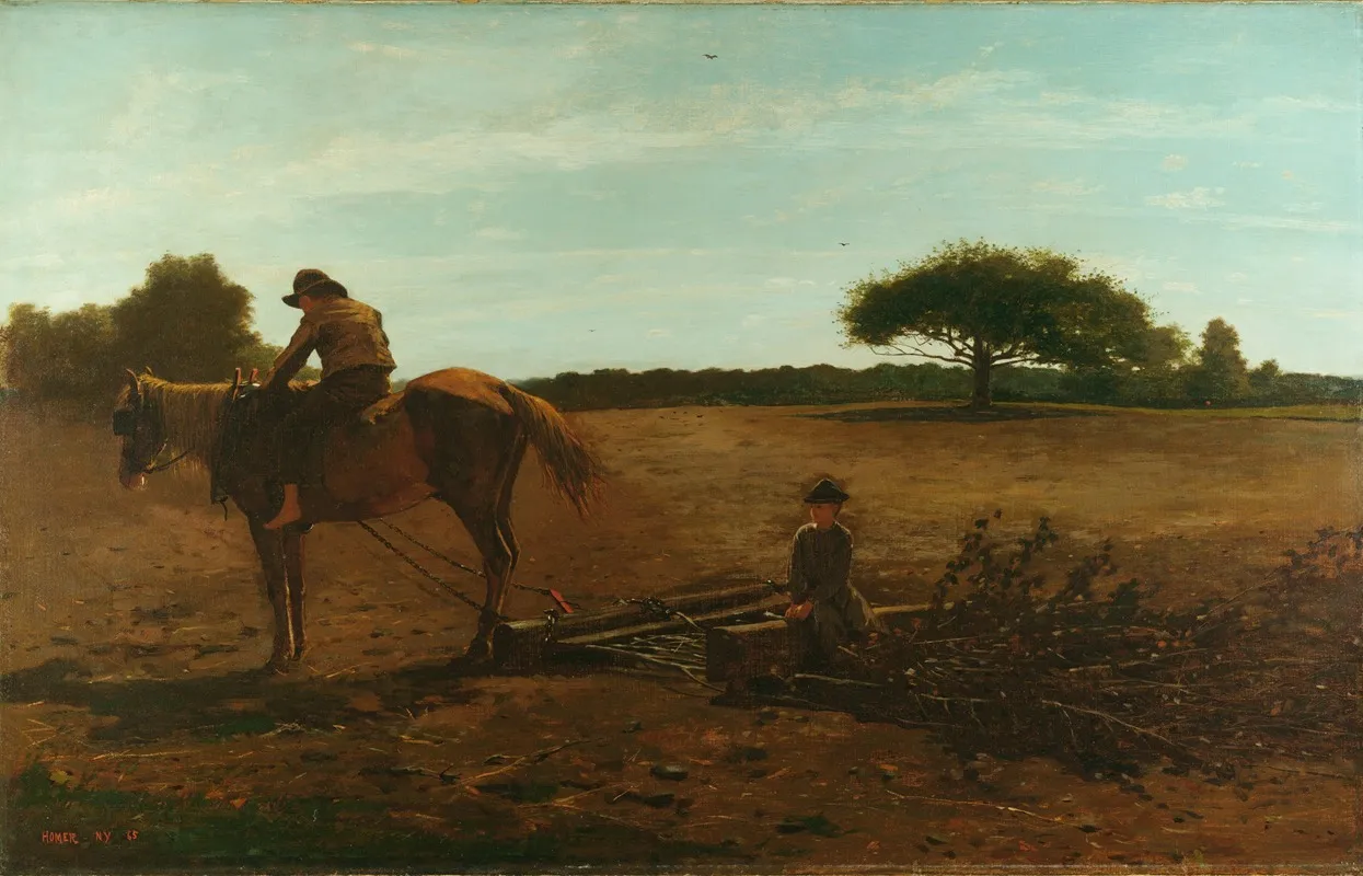 The Brush Harrow Spring Time