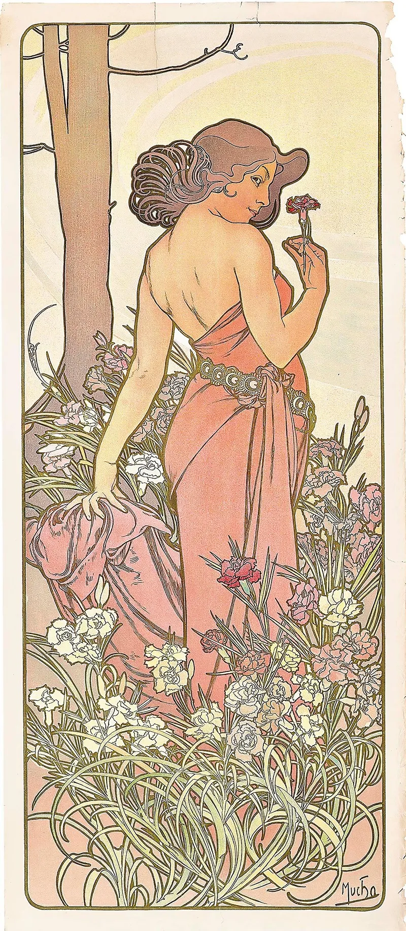 The Carnation