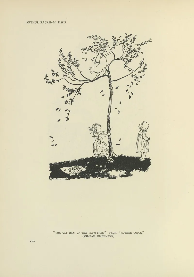 The Cat Ran Up The Plum Tree Mother Goose Wall Art by Arthur Rackham - High-Resolution Digital Print