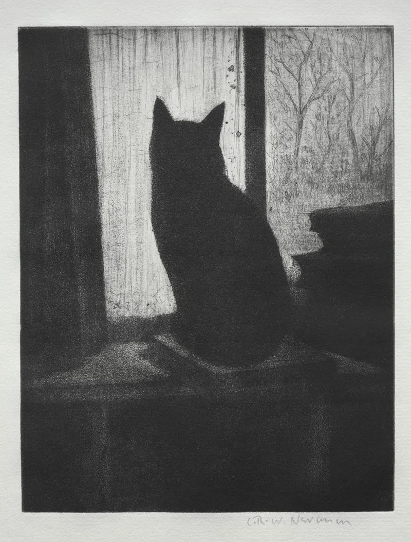 The Cat
