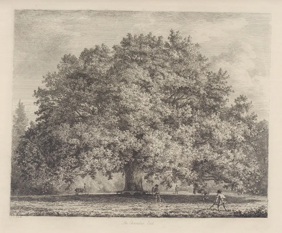 The Chandos Oak Wall Art by Jacob George Strutt - High-Resolution Digital Print