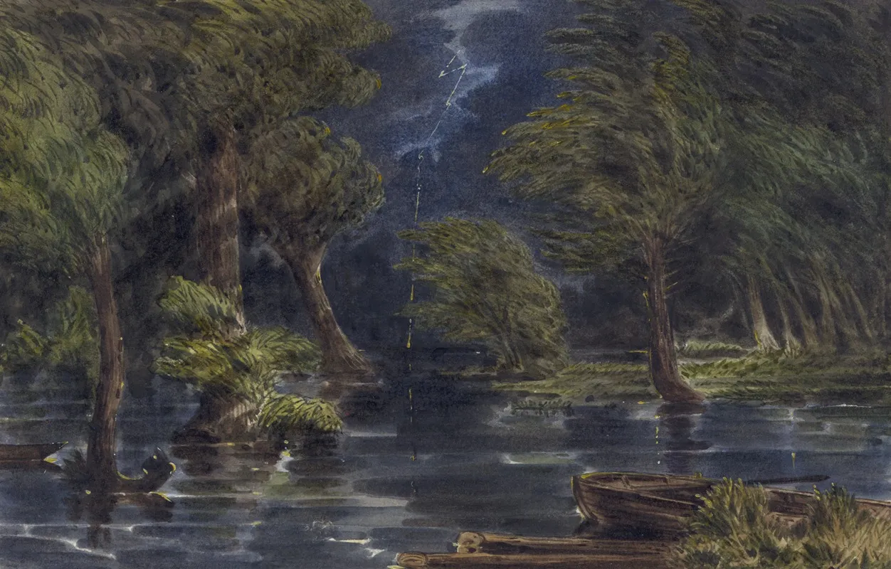 The Chickahominy Swamp