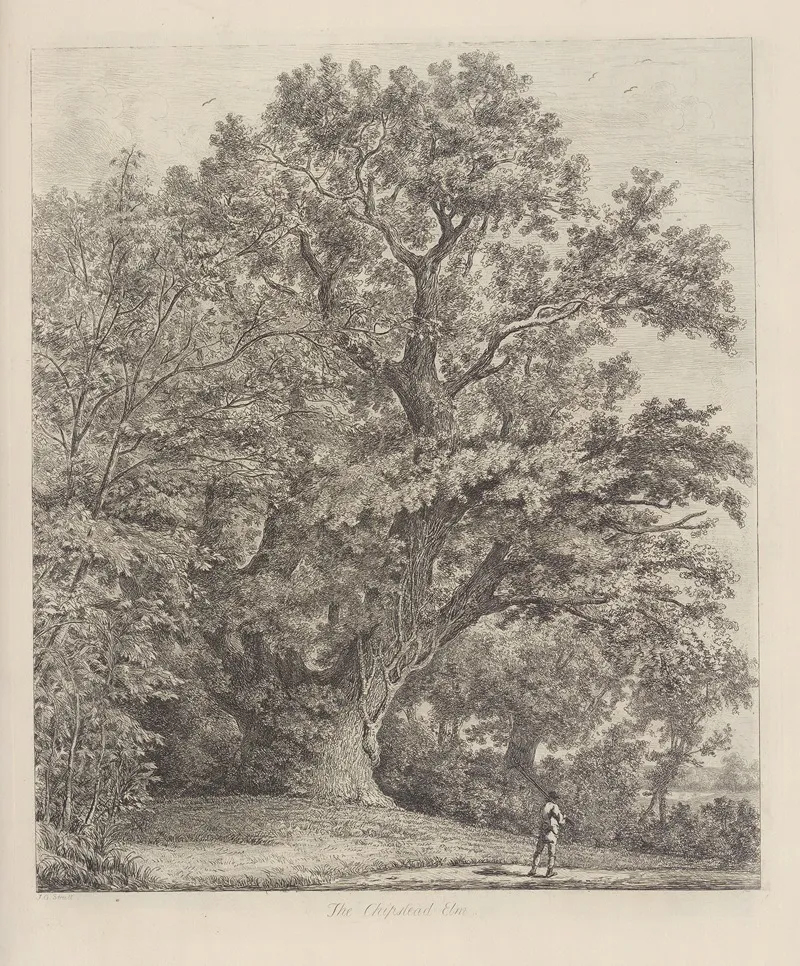 The Chipstead Elm Wall Art by Jacob George Strutt - High-Resolution Digital Print