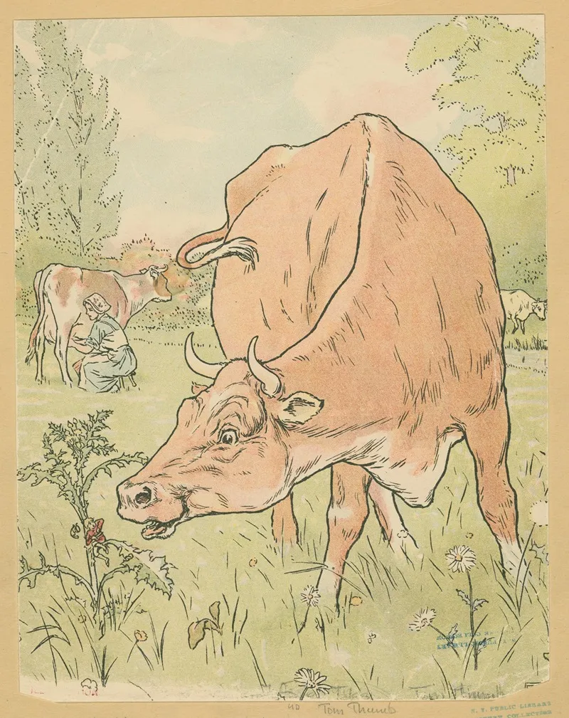 The Cow Sees Tom Thumb