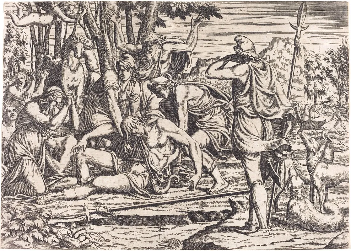 The Death Of Adonis 2