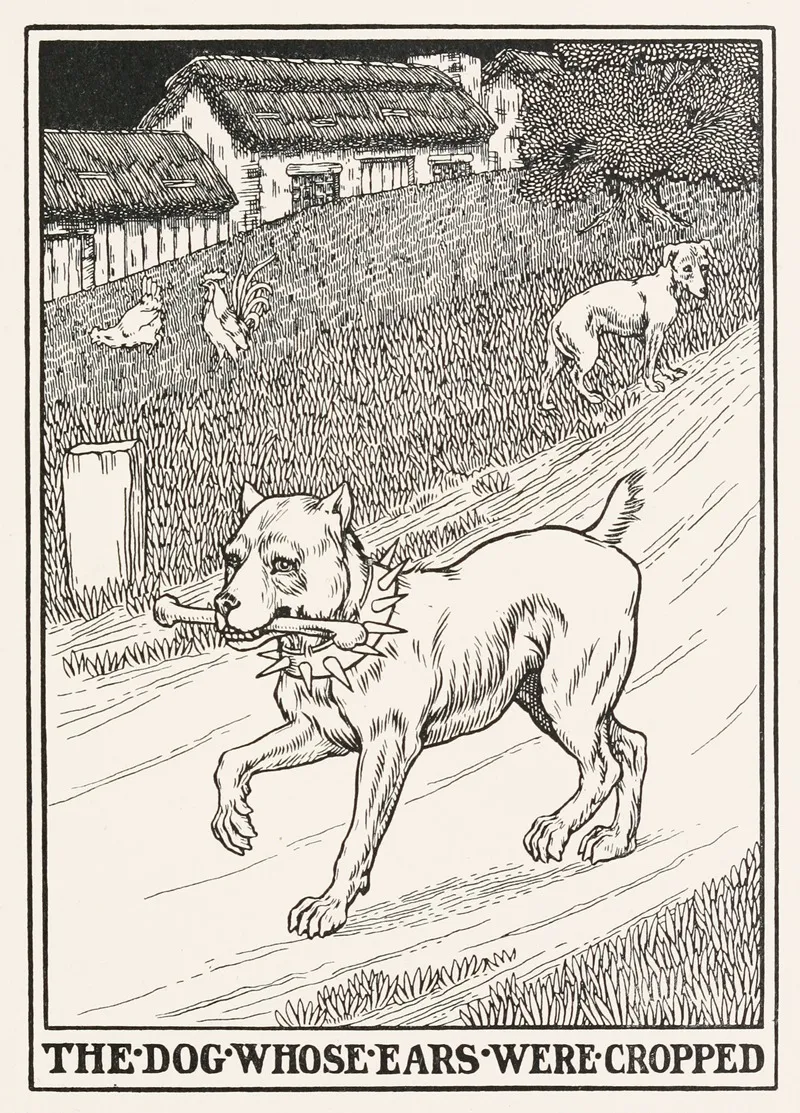 The Dog Whose Ears Were Cropped Wall Art by Percy J. Billinghurst - High-Resolution Digital Print