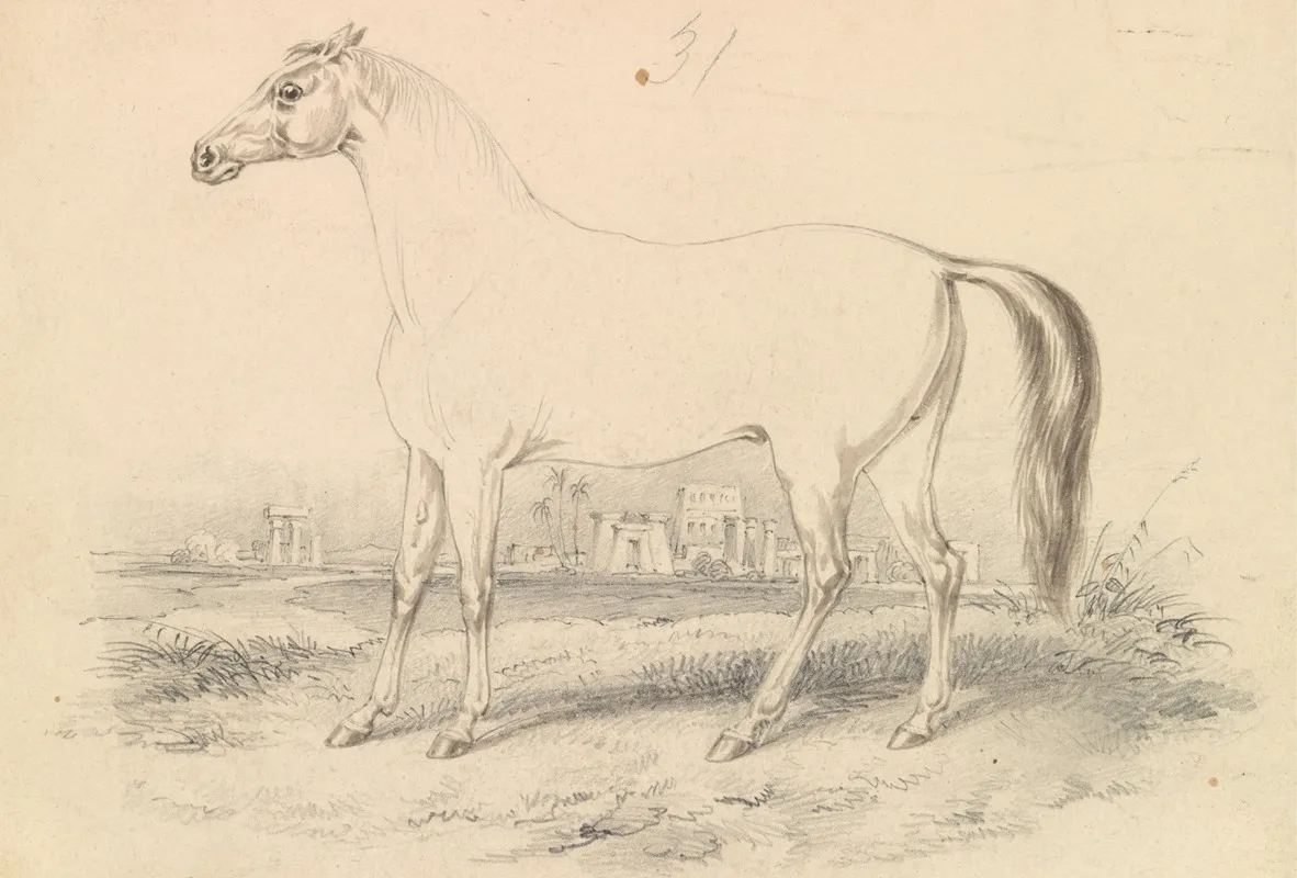 The Dongola Horse