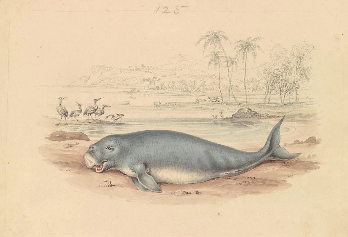 The Dugong Wall Art by James Stewart - High-Resolution Digital Print