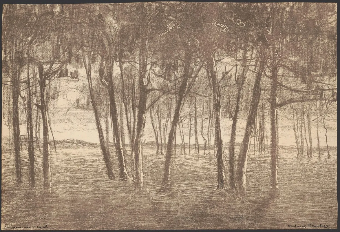 The Edge Of The Forest 2