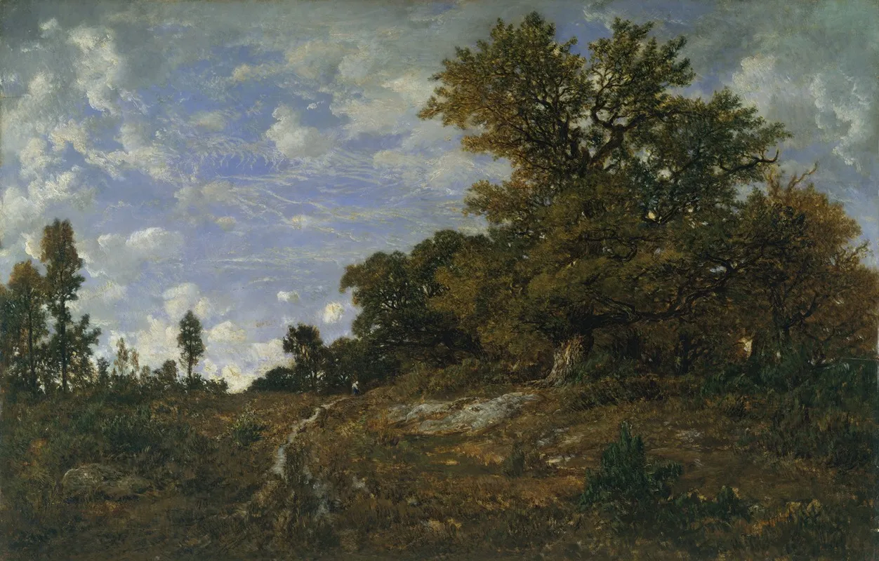 The Edge Of The Woods At Monts Girard Fontainebleau Forest