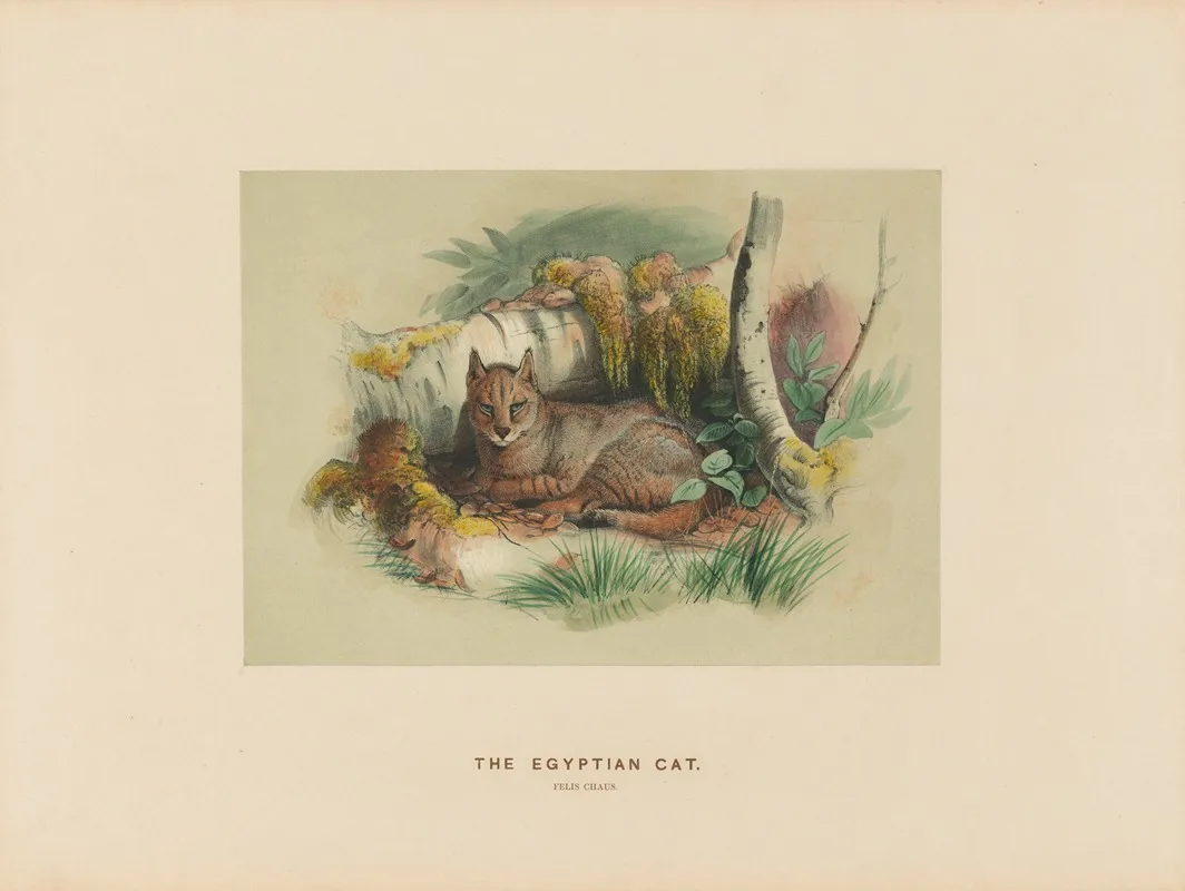 The Egyptian Cat 2 Wall Art by Joseph Wolf - High-Resolution Digital Print