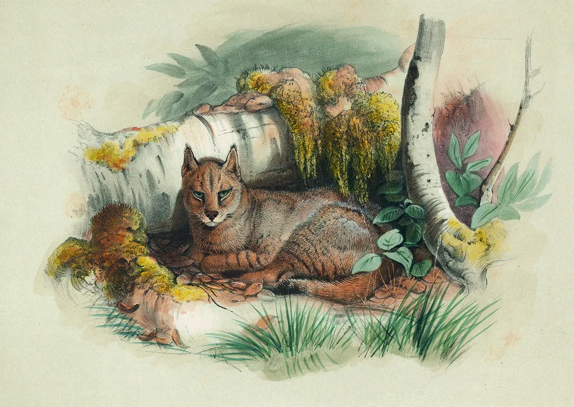 The Egyptian Cat Wall Art by Joseph Wolf - High-Resolution Digital Print
