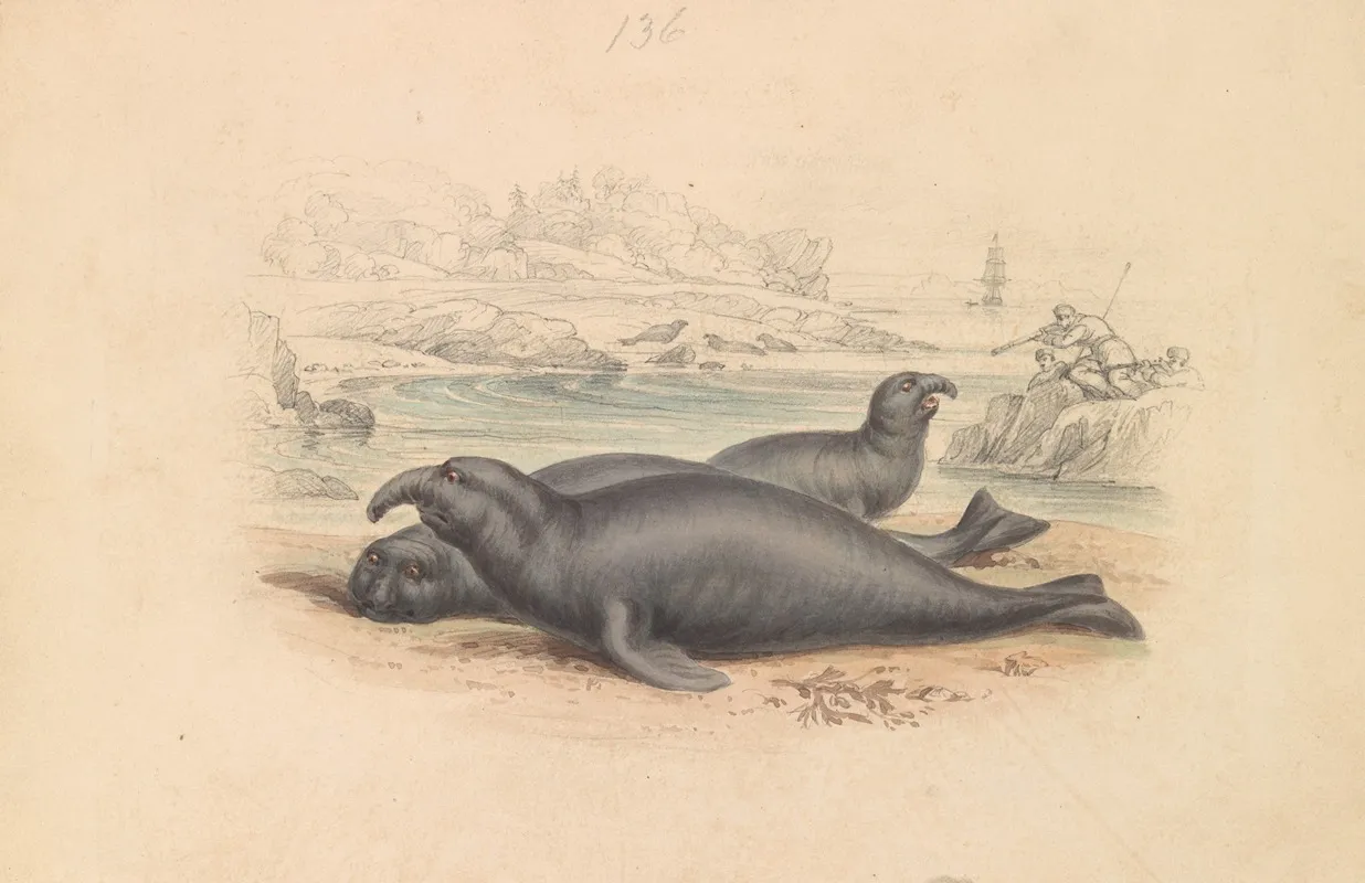 The Elephant Seal Wall Art by James Stewart - High-Resolution Digital Print
