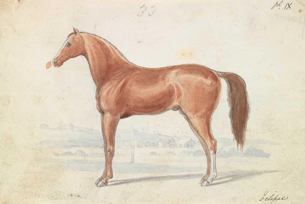 The English Race Horse