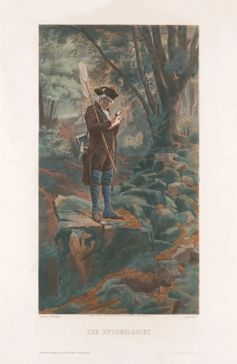 The Entomologist Wall Art by Auguste Loustaunau - High-Resolution Digital Print