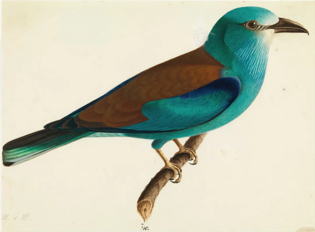 The European Roller Wall Art by Wilhelm von Wright - High-Resolution Digital Print