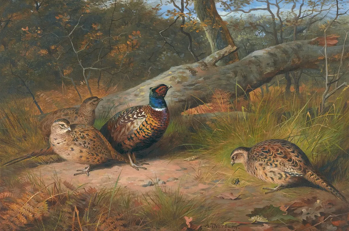The Fallen Beech A Cock And Three Hen Pheasants With A Wasp Wall Art by Archibald Thorburn - High-Resolution Digital Print
