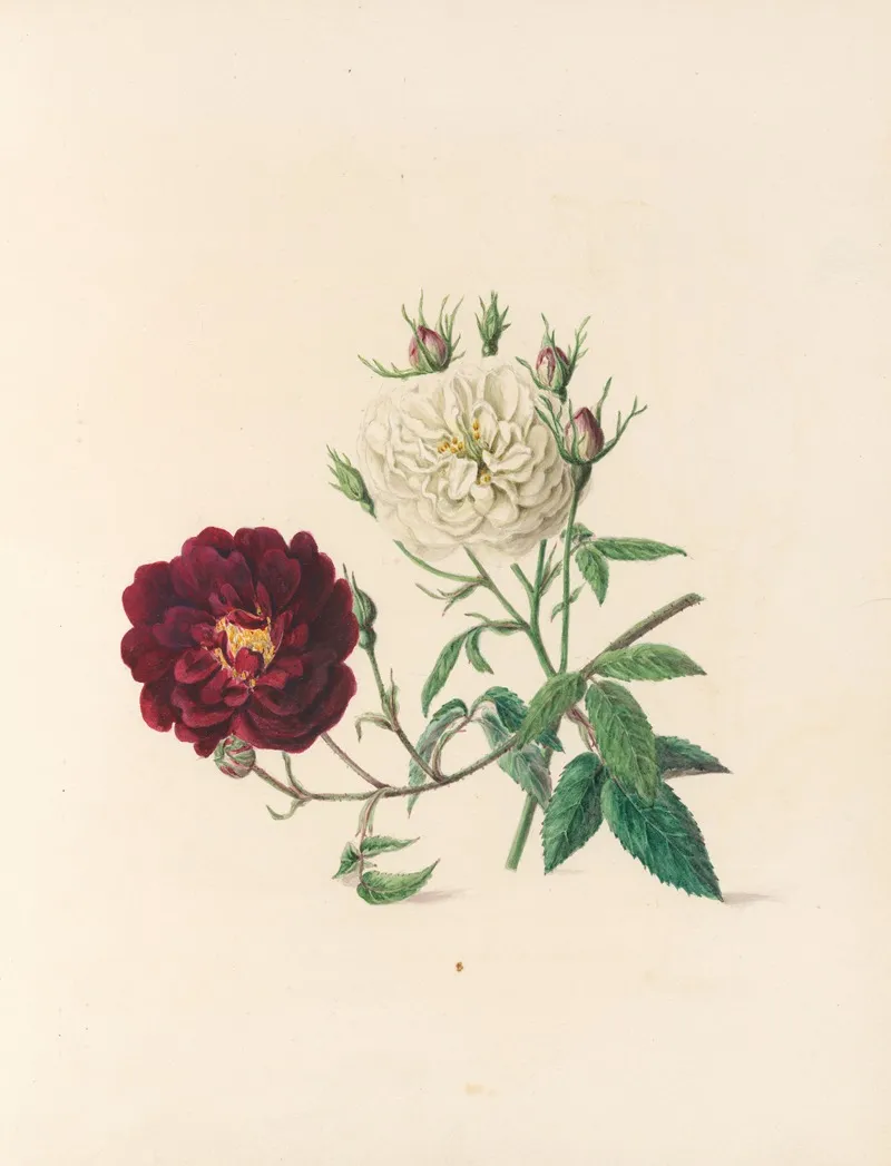 The Fete Of The Flowers Pl 04 Wall Art by Jane Elizabeth Giraud - High-Resolution Digital Print