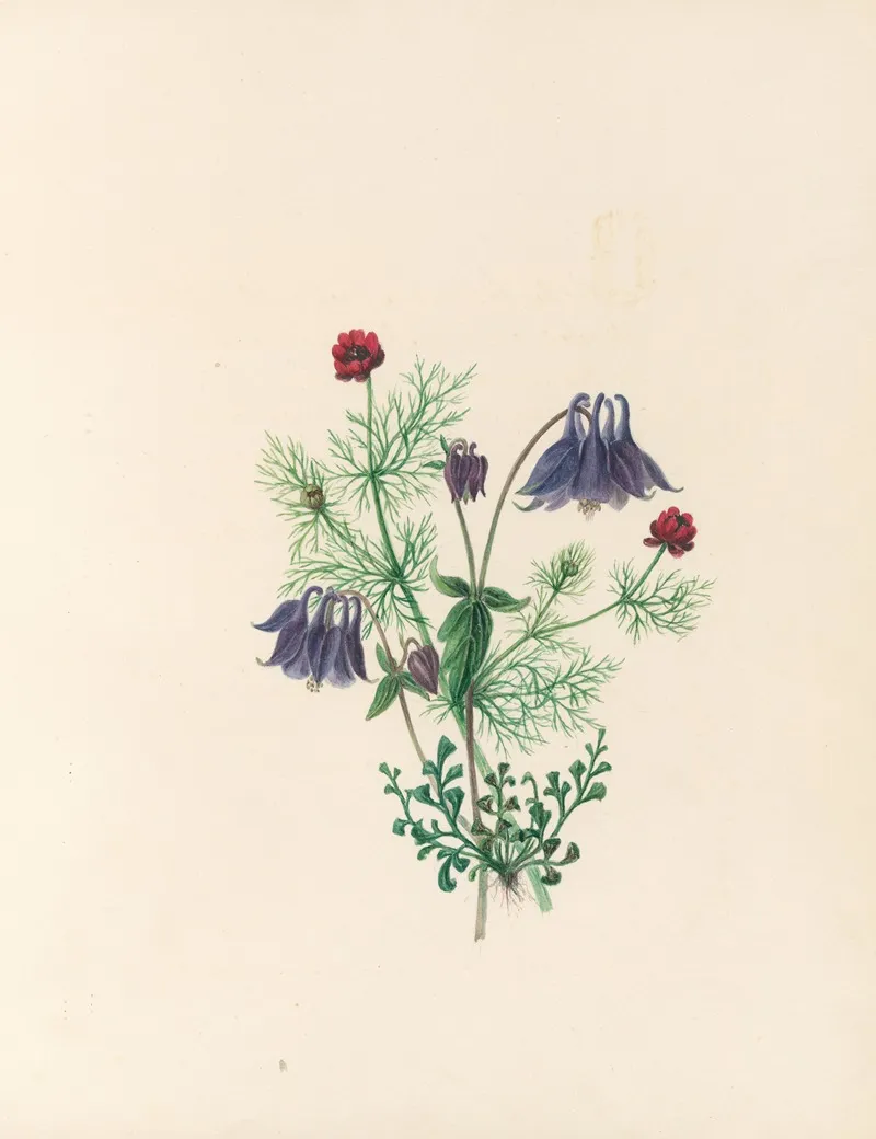 The Fete Of The Flowers Pl 05 Wall Art by Jane Elizabeth Giraud - High-Resolution Digital Print