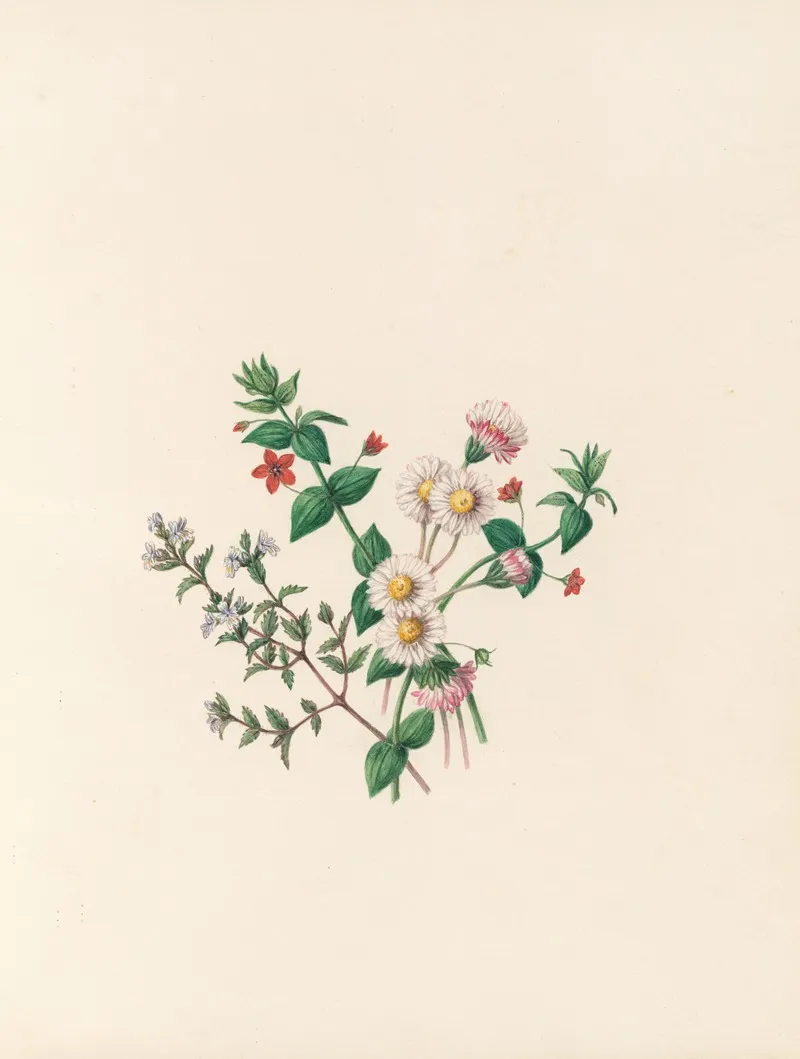 The Fete Of The Flowers Pl 07 Wall Art by Jane Elizabeth Giraud - High-Resolution Digital Print