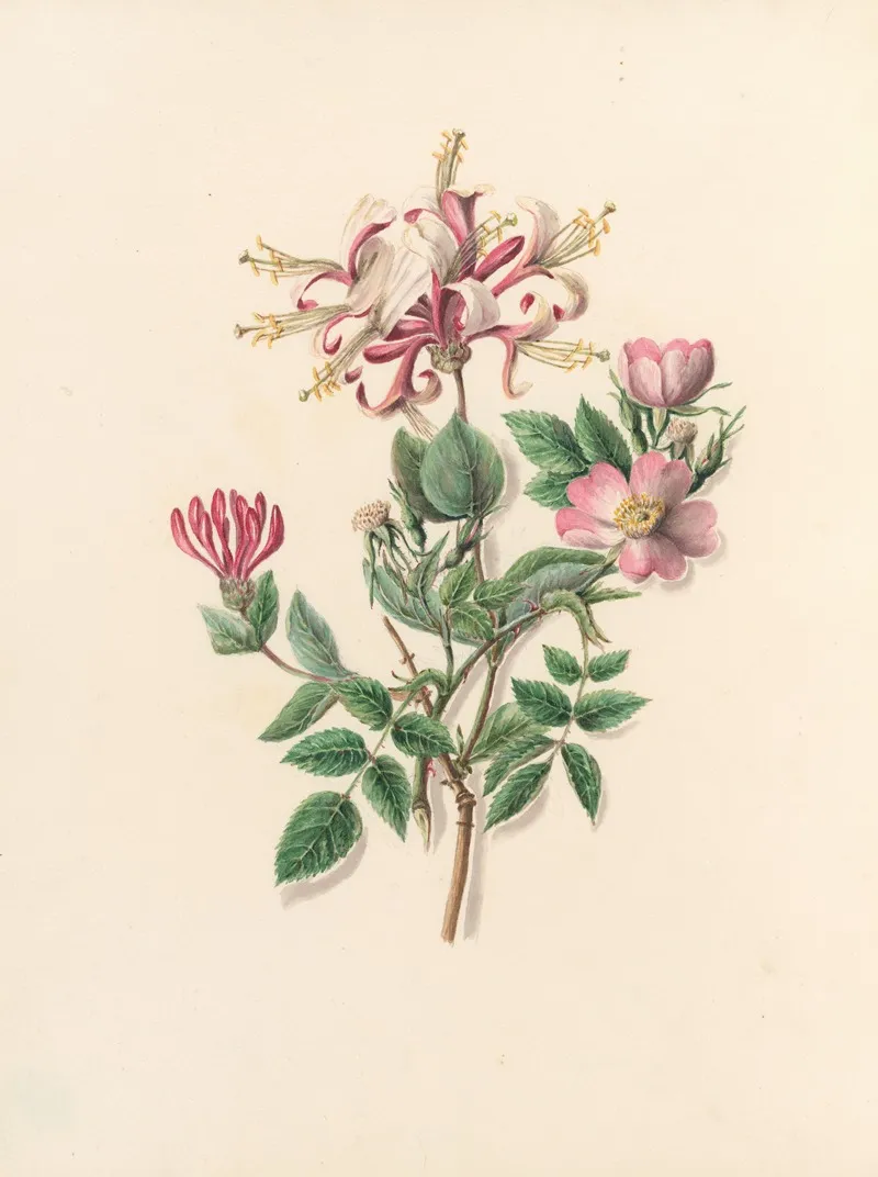 The Fete Of The Flowers Pl 09 Wall Art by Jane Elizabeth Giraud - High-Resolution Digital Print