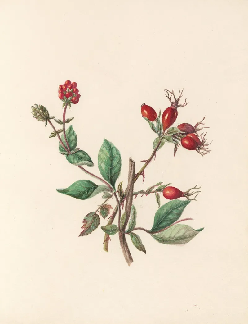 The Fete Of The Flowers Pl 10 Wall Art by Jane Elizabeth Giraud - High-Resolution Digital Print