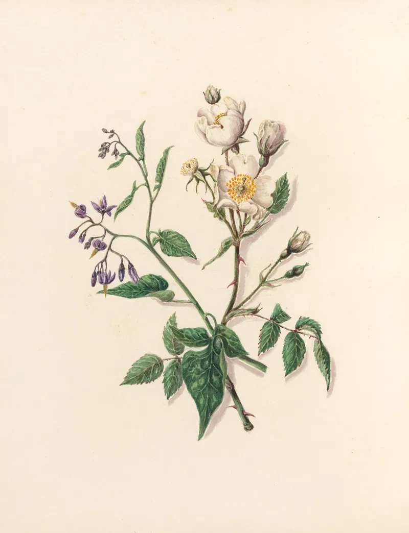 The Fete Of The Flowers Pl 11 Wall Art by Jane Elizabeth Giraud - High-Resolution Digital Print