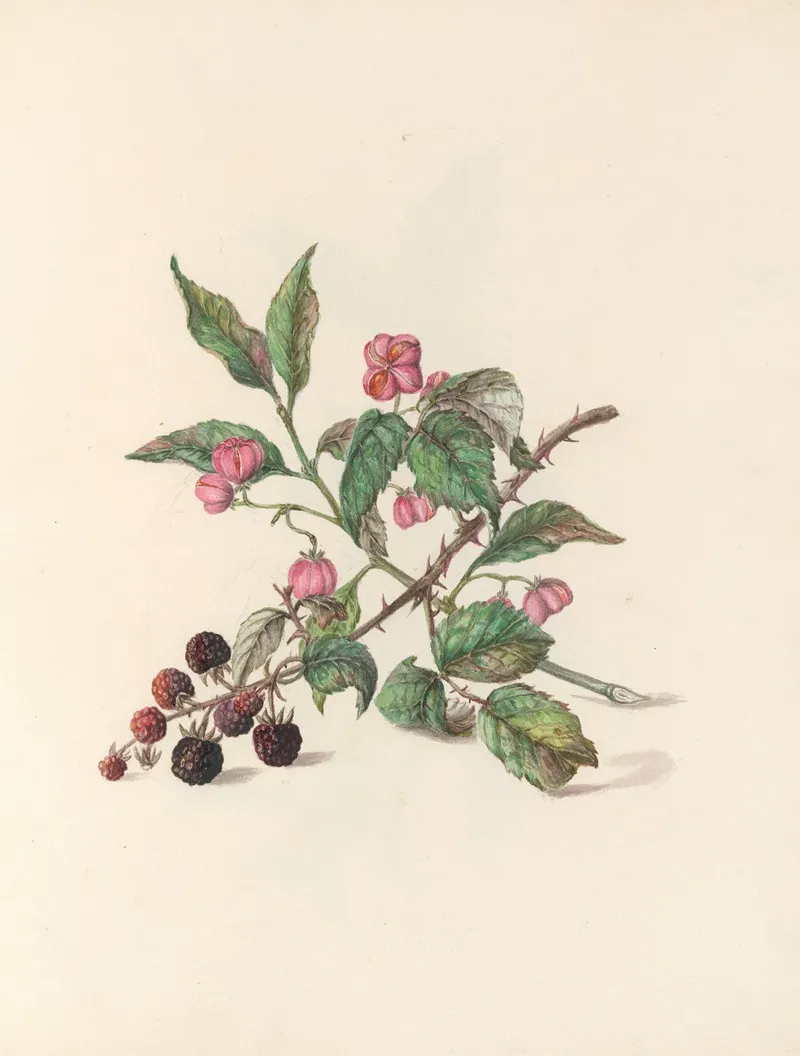 The Fete Of The Flowers Pl 14 Wall Art by Jane Elizabeth Giraud - High-Resolution Digital Print