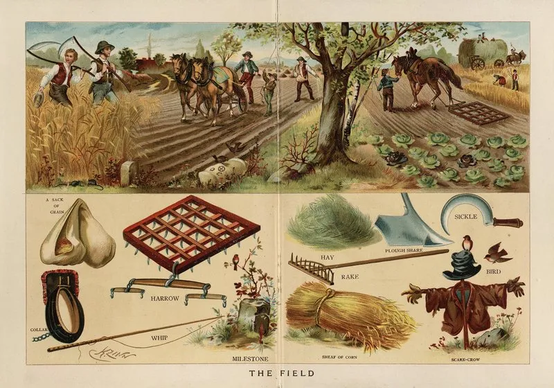 The Field 2 Wall Art by Frederick Warne &amp; Co - High-Resolution Digital Print