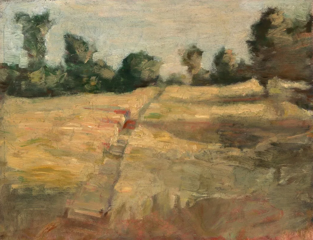 The Field