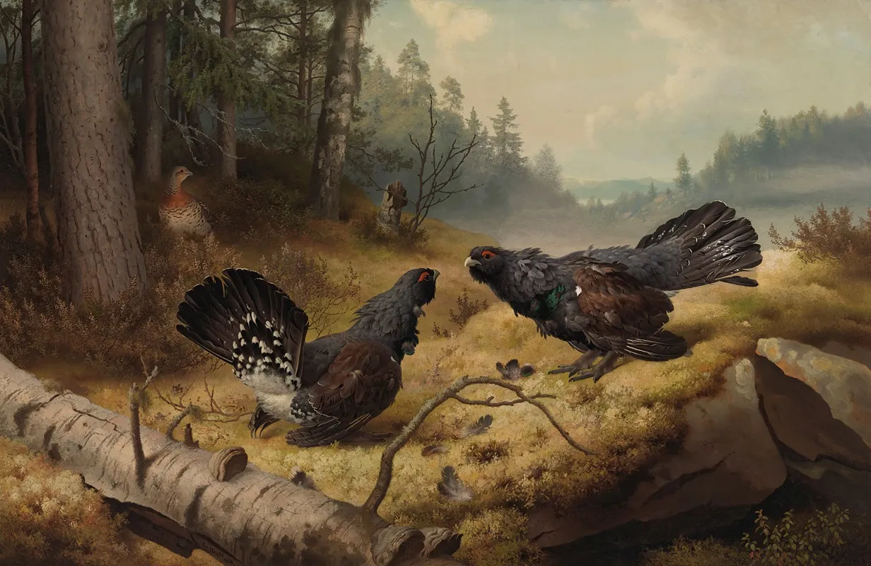 The Fighting Capercaillies Wall Art by Ferdinand von Wright - High-Resolution Digital Print