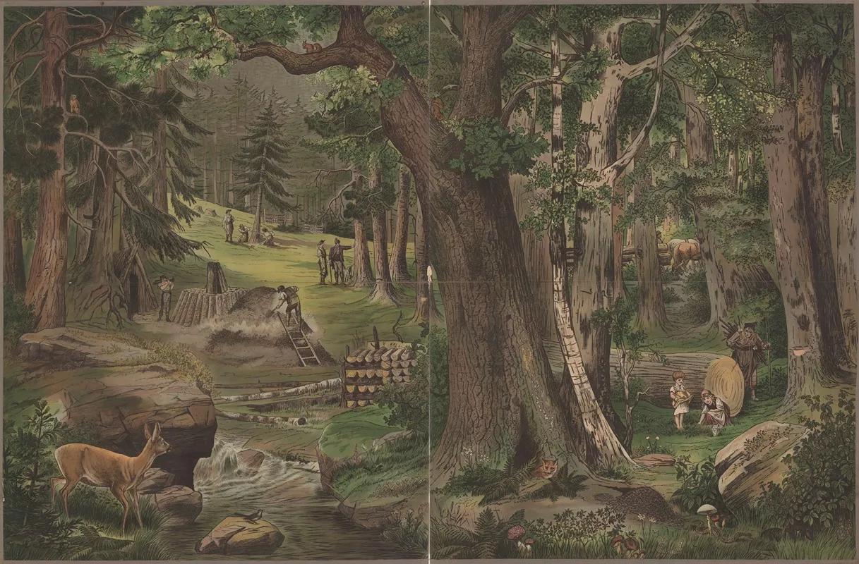 The Forest 6