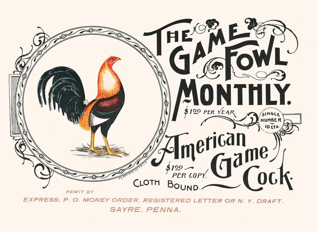 The Game Fowl Monthly American Game Cock