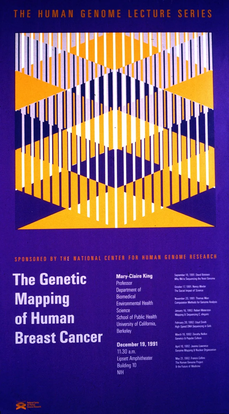 The Genetic Mapping Of Human Breast Cancer