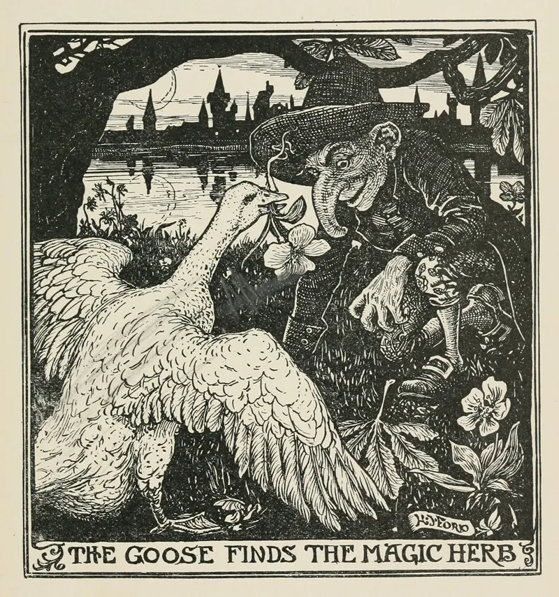The Goose Fnds The Magic Herb