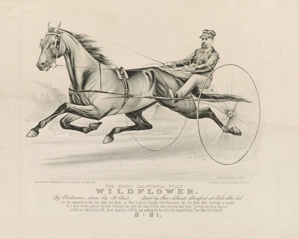 The Grand California Filly Wildflower By Electioneer Dam By St Clair Bred By Gov Leland Stanford At Palo Alto Cal Wall Art by John Cameron - High-Resolution Digital Print