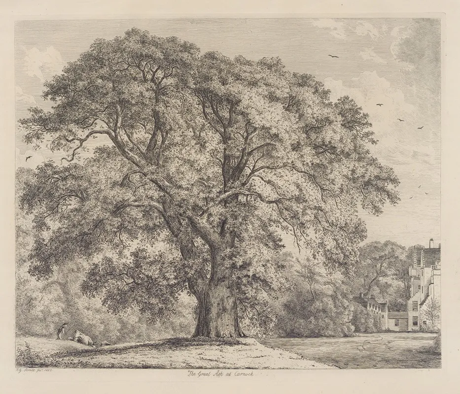 The Great Ash At Carnock Wall Art by Jacob George Strutt - High-Resolution Digital Print
