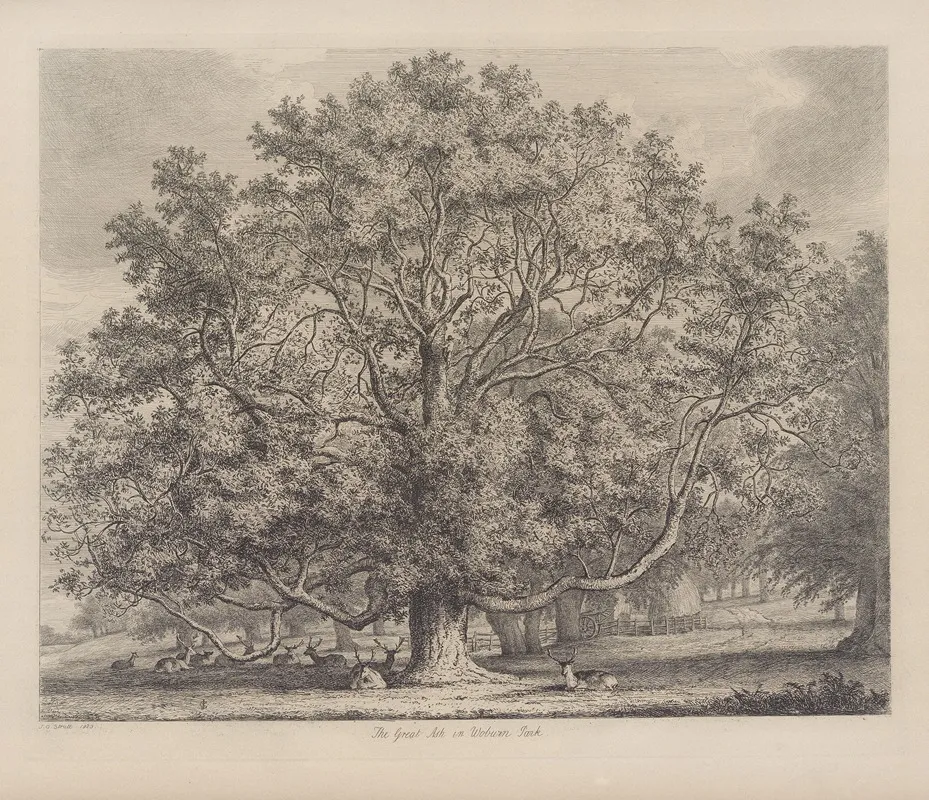 The Great Ash At Woburn Wall Art by Jacob George Strutt - High-Resolution Digital Print