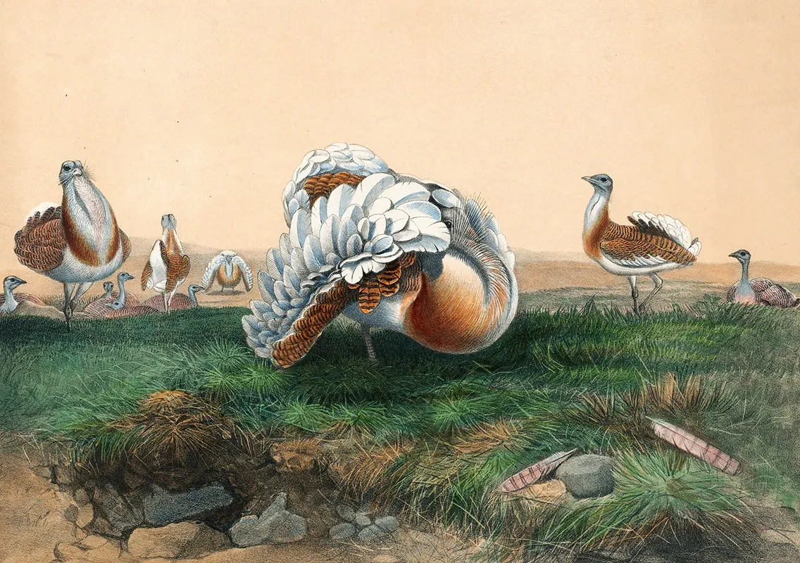The Great Bustard Wall Art by Joseph Wolf - High-Resolution Digital Print