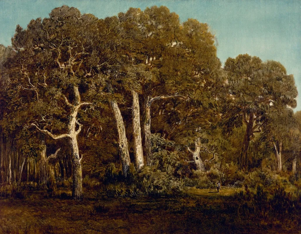 The Great Oaks Of Old Bas Breau