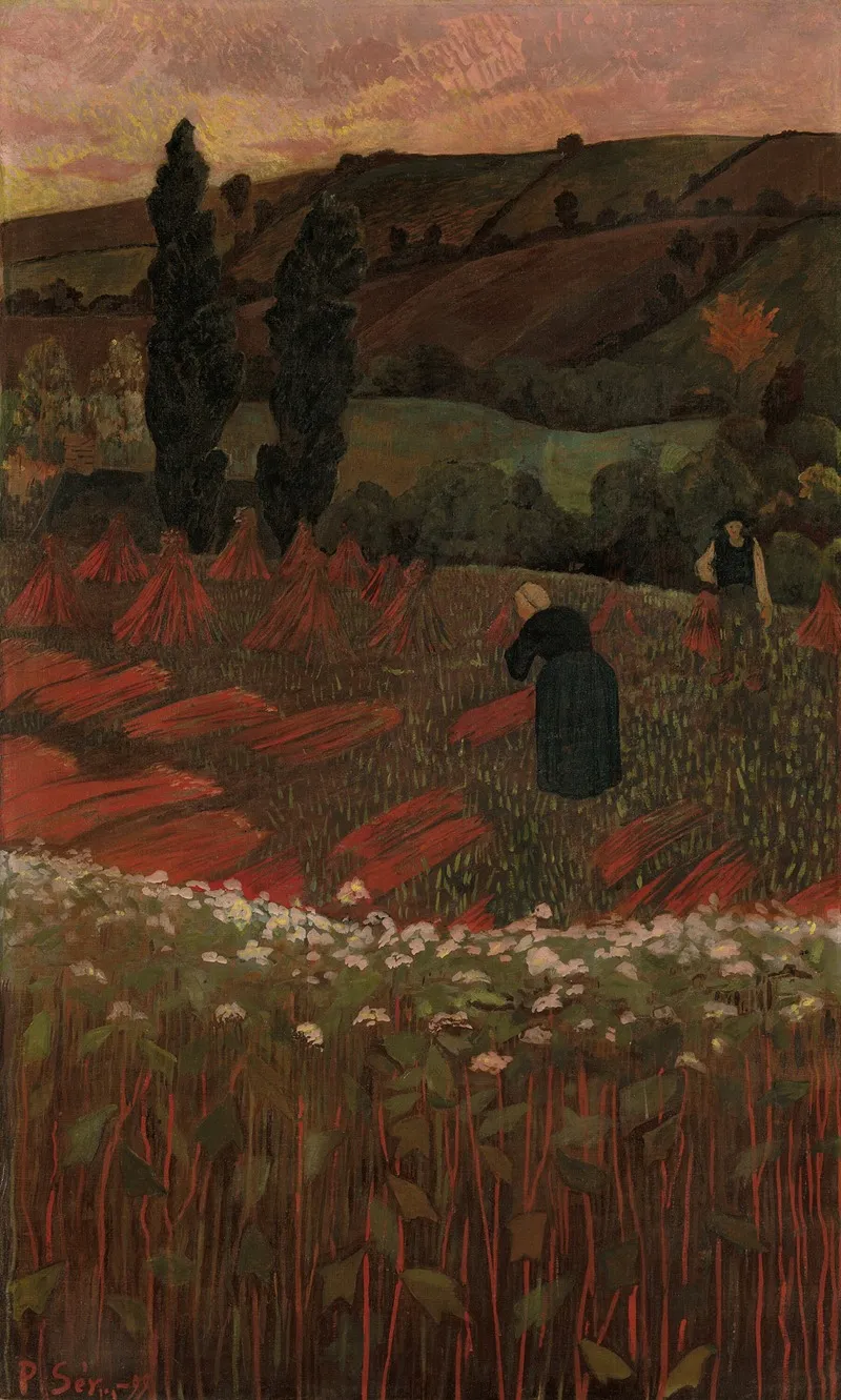 The Harvest Of Buckwheat