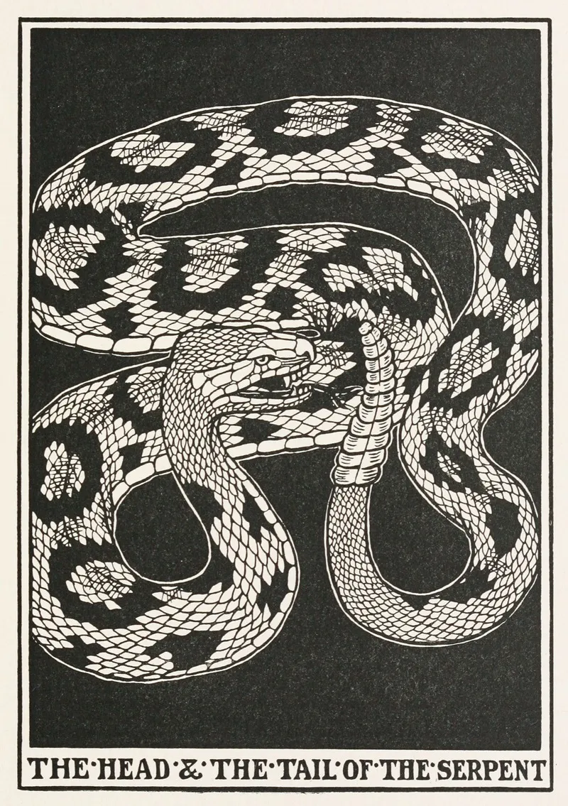 The Head And The Tail Of The Serpent Wall Art by Percy J. Billinghurst - High-Resolution Digital Print