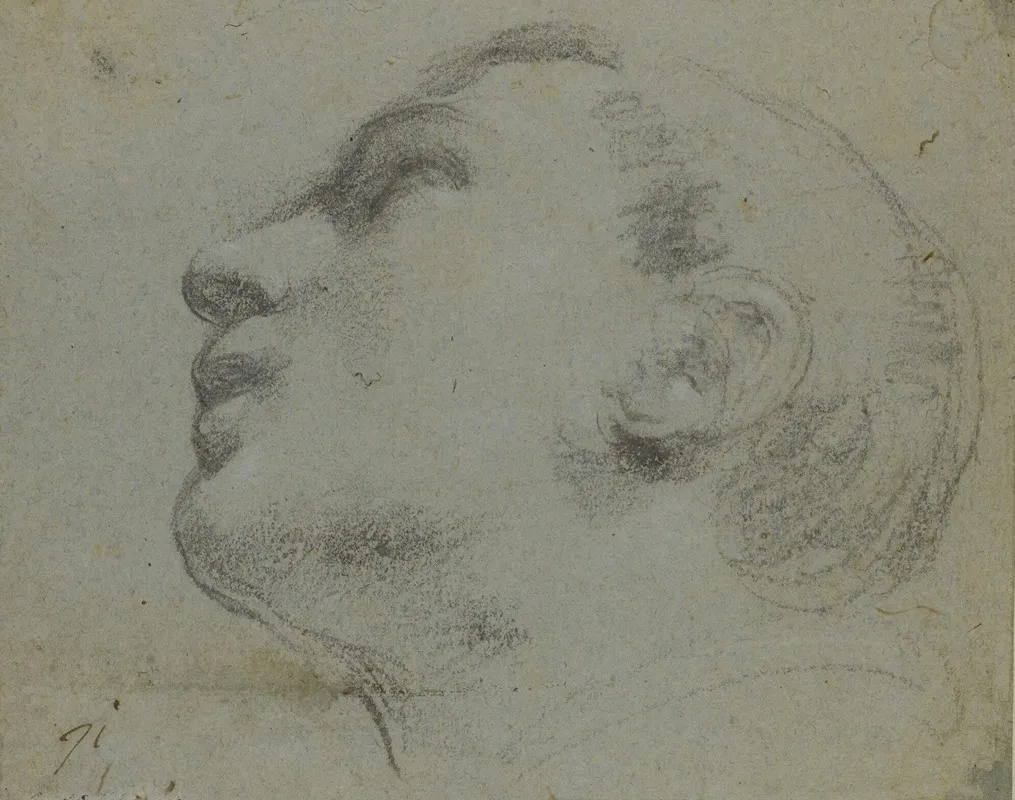 The Head Of A Man Turned To The Left