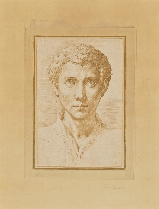 The Head Of A Young Man