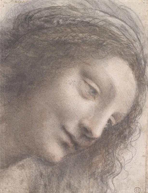 The Head Of The Virgin In Three Quarter View Facing Right Wall Art by Leonardo da Vinci - High-Resolution Digital Print