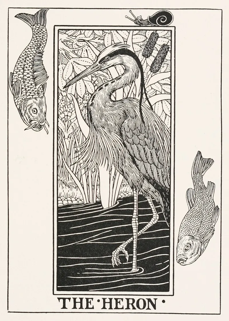 The Heron 2 Wall Art by Percy J. Billinghurst - High-Resolution Digital Print